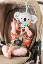10108728_5096.webp