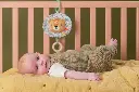 10108729_6729.webp