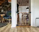 501440-m1.webp
