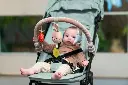 10109969_6088.webp