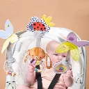10109137_5971.webp
