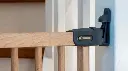 501416-m8.webp