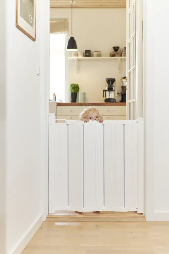 70214 BabyDan Alma boy behind gate.webp