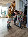 501509-m3.webp