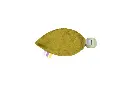 10109399_5221.webp