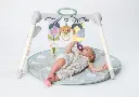 10108936_9786.webp