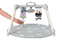 10108936_2727.webp