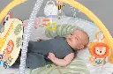 10108287_4427.webp