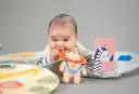 10108287_4271.webp