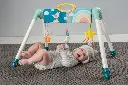 10107598_9989.webp