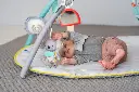 10107455_4017.webp
