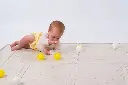 10110114_6267.webp
