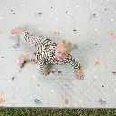 10109099_7888.webp