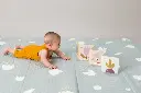 10108938_7974.webp