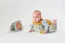 10108726_5443.webp