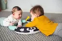 10107456_2178.webp