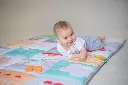 10093823_4634.webp