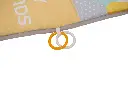 10093823_9550.webp