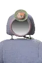 10109124_8249.webp