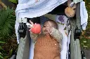 10109098_2803.webp
