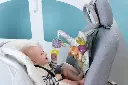 10109055_7661.webp