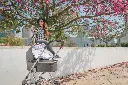 10105785_9504.webp