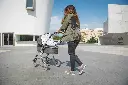 10105785_6510.webp