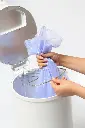 10109150_1087.webp