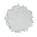 10109389_1723.webp