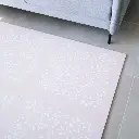 10109387_3428.webp