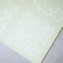 10109386_5366.webp