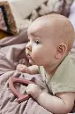 10108354_4521.webp