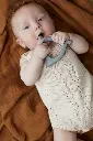 10108353_8517.webp
