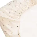 10109892_5723.webp