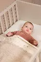 10109903_2680.webp