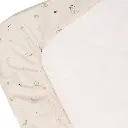10109905_6133.webp
