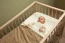 10109897_1557.webp