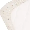 10109897_7215.webp