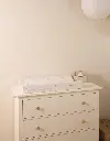 10109953_5029.webp
