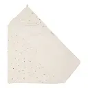 10109875_6996.webp