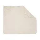 10109875_4323.webp