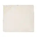 10109875_7656.webp