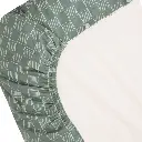 10109894_4281.webp