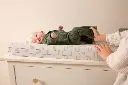 10109952_3795.webp