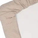 10109914_6527.webp