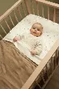 10109916_4696.webp
