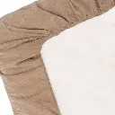 10109924_2047.webp