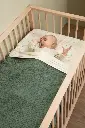 10109943_3609.webp