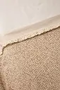 10109939_4582.webp