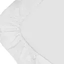 10109938_2967.webp